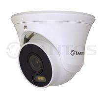 TSi-Ee50FPN - IP видеокамера уличная антивандальная с LED подсветкой белого цвета, пятимегапиксельна