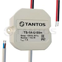 TS-1A-U-Slim Tantos Источник вторичного электропитания 12В, 1А в корпусе IP67 (всепогодный), 48×56×2