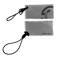 Бесконтактный брелок TS-IDKey серый Em-Marine