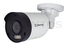 TSi-Pe25FPN - IP видеокамера уличная цилиндрическая с LED подсветкой белого цвета, двухмегапиксельна