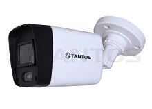 TSi-P2FP - IP видеокамера уличная цилиндрическая с ИК подсветкой, двухмегапиксельная 1920х1080х30к/с