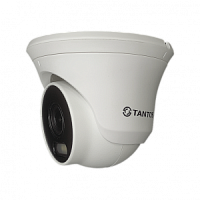TSi-B5FP IP видеокамера уличная купольная с умной двойной подсветкой (Smart Dual Light), пятимегапи